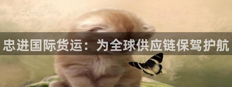 okpay钱包好用吗