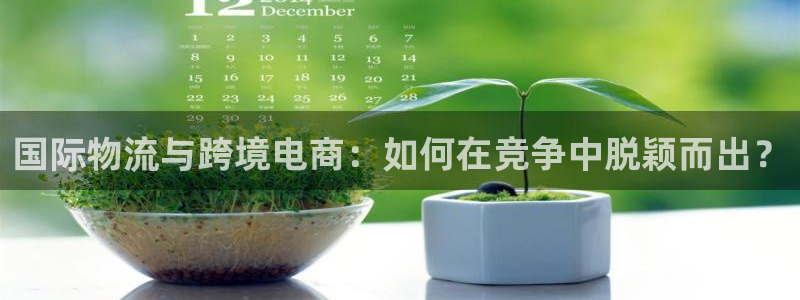 okpay钱包下载方式