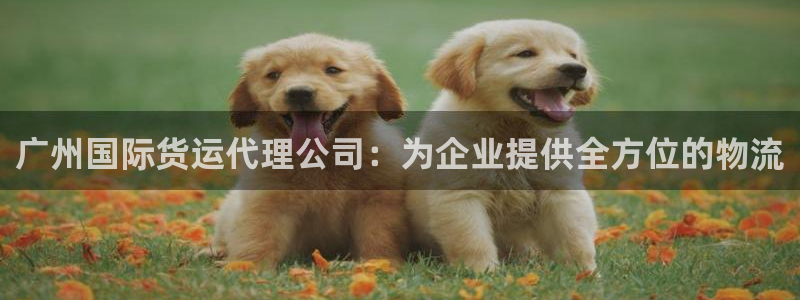 okpay钱包安全吗
