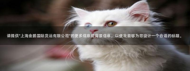 okpay777钱包