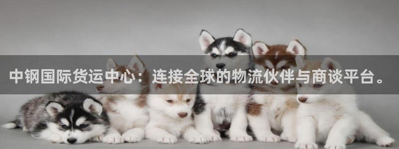 okpay钱包官网