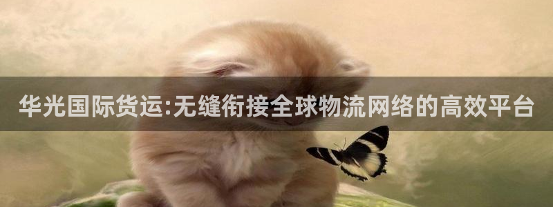 okpay支付钱包下载最新